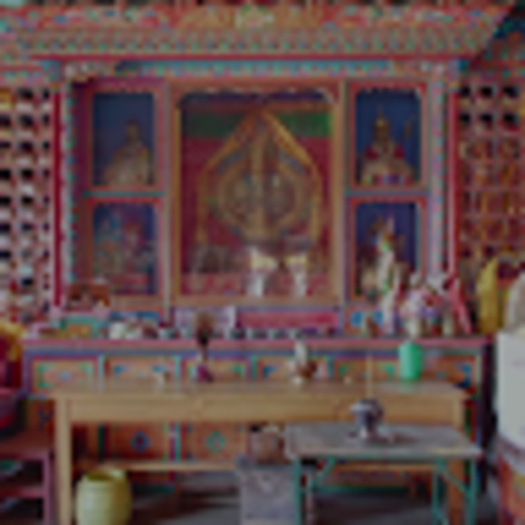 Meet your Posher, Alan - Picture 1 of 1